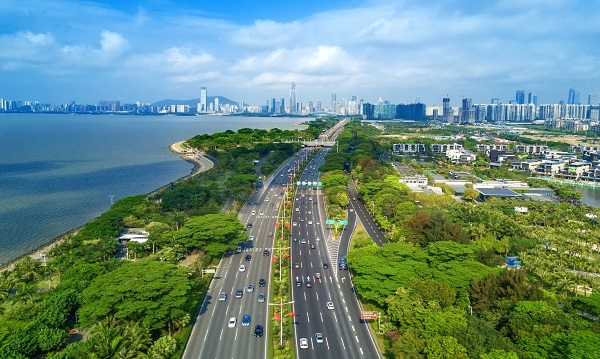 深圳提升森林林质量投入10.6亿元