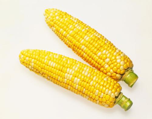 2017.9.5日河北省玉米价格 玉米市场价格行情