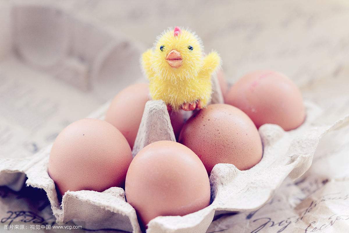 2017.9.12北京鸡蛋价格行情趋势分析 北京鸡蛋多钱一斤
