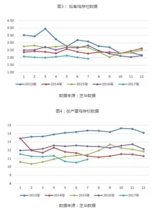 未来2月鸡蛋价格预测行情分析 未来两月鸡蛋价格行情分析