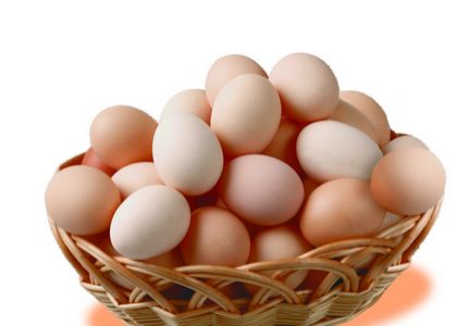 2017年10.9日北京鸡蛋价格 今日北京鸡蛋多钱一斤