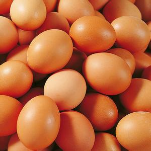 今日北京鸡蛋价格行情趋势 北京鸡蛋多钱一斤2017.10.12日