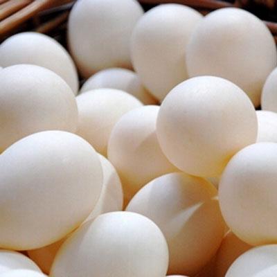 今日北京鸡蛋价格行情 北京鸡蛋多少钱一斤(2017年10.13日)