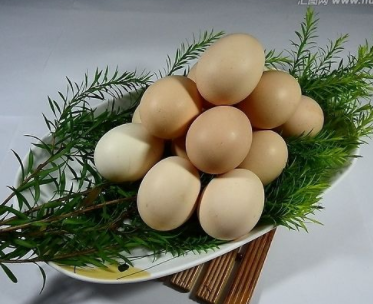 今日北京鸡蛋价格行情趋势分析 北京鸡蛋多钱一斤2017年10.24日