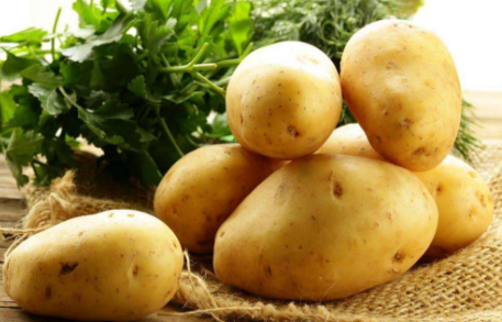 2017.10.31北京土豆价格行情趋势 土豆价格行情报告