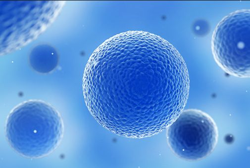 2018年干细胞行业现状分析及干细胞行业前景潜力分析