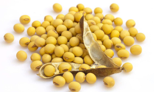 2017年12月1日中国粮油早间行情分析报告