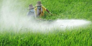 2018年中国农药,药械行业市场需求预测分析报告