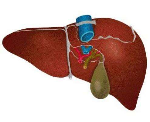 中国肝病用药行业发展现状分析