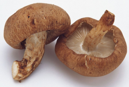 2017年12月5全国香菇价格 批发市场香菇价格