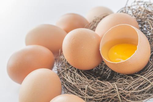 2017年12月13日今日山东烟台鸡蛋价格 鸡蛋价格行情预测分析