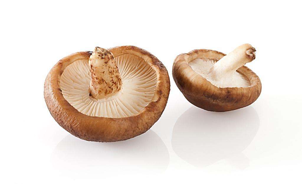 2017.12.17北京香菇的批发价格