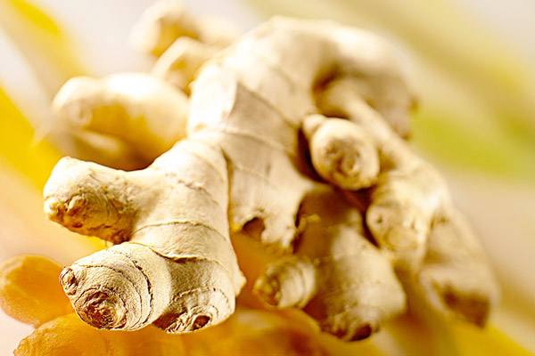 2017年12.19日全国生姜价格市场行情分析报告