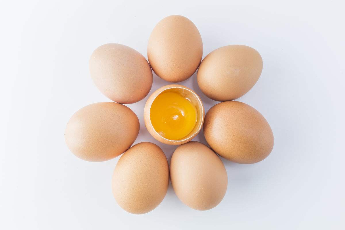 2017年12月25日北京天津今日鸡蛋价格行情预测