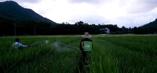 2018年农业行情分析 农药价格行情趋势分析