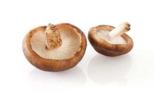 2018年1月4日全国香菇批发价格 鲜鲜菇价格干香菇价格