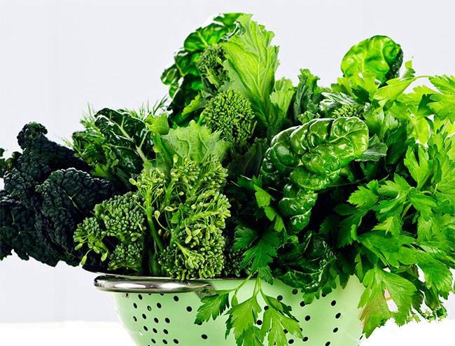 南京市场调研 叶菜价格上扬 蔬菜供应平稳