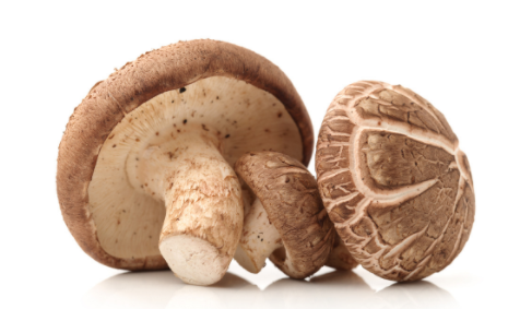 2018年1月10如今日河北香菇价格 北京今日香菇价格