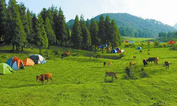 休闲农业规划 中国发展休闲农业规划的重点任务