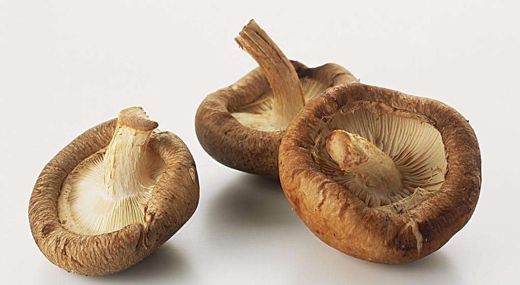 2018年国内地区香菇价格 干香菇价格