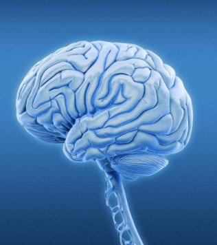 全球中枢神经系统用药行业发展现状市场分析