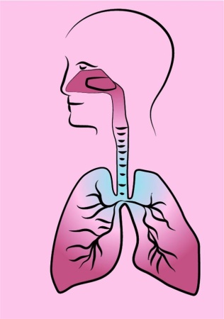 全球呼吸系统药物市场分析 呼吸系统药物全球市场发展研究报告