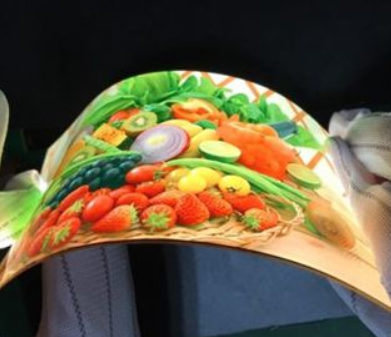 新型显示全球市场分析 全球新型显示行业发展投资研究报告