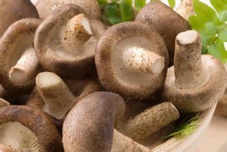 2018.3.9日全国最新香菇价格行情 香菇市场行情报告