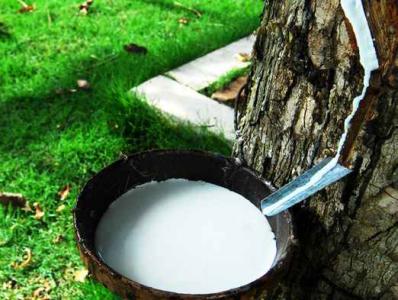 天然橡胶行业调查报告 中国天然橡胶市场发展研究报告2018年