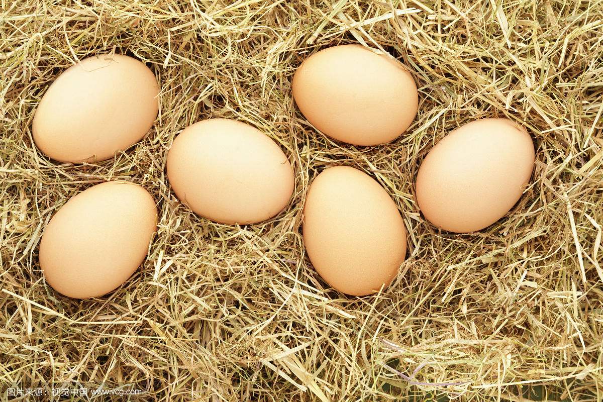 2018.4.18北京鸡蛋的价格市场行情分析报告