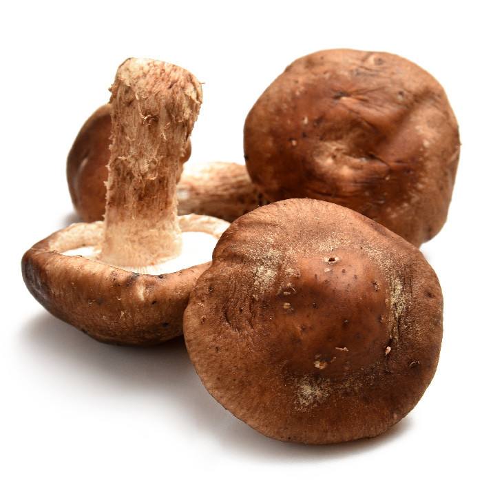 香菇价格行情 全国香菇批发价格市场行情分析报告2018.4.26日