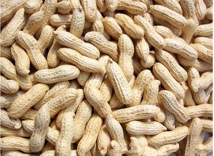 花生价格行情多年罕见:8元/斤历史高点跌至1.5元/斤附近