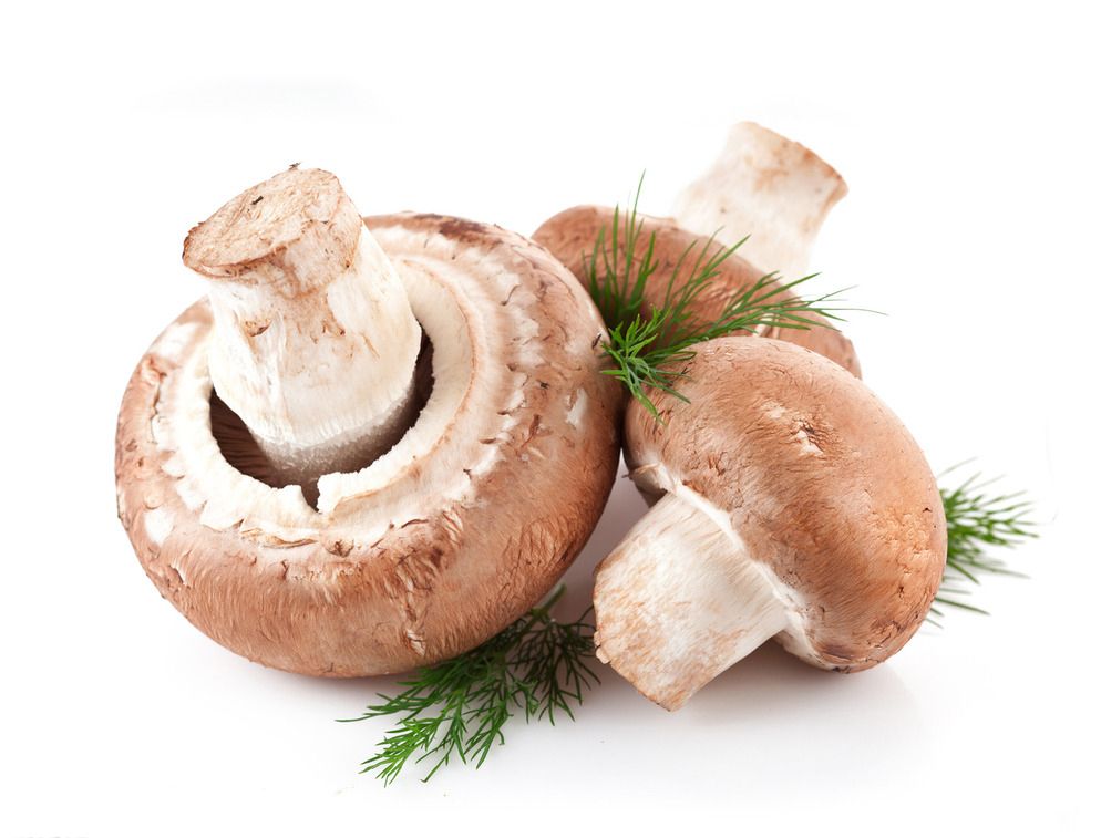 北京 天津 河北香菇价格行情分析报告2018.05.8