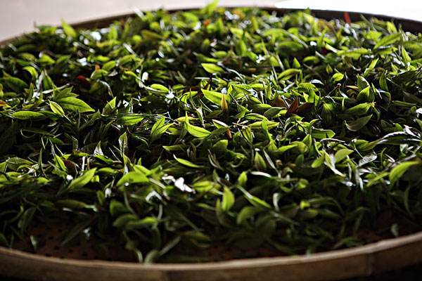 茶叶市场行情 普洱茶市场价格行情分析报告2018年5月15日