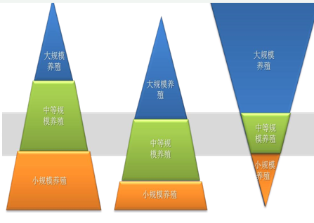 生猪行业调查报告 中国生猪养殖行业市场调研与市场发展研究报告2018年