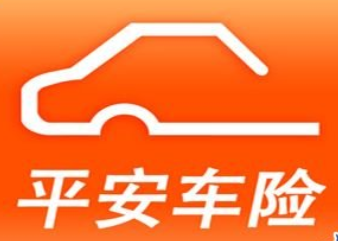 2018年中国汽车保险公司排名 