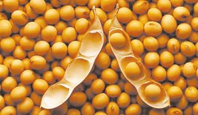 美国官方数据:玉米大豆油菜转基因超90%普及率