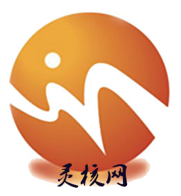 灵核网行业分析报告网站 中国产业研究报告网