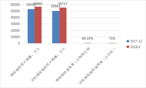 网络购物的发展趋势及行业发展分析研究报告2019