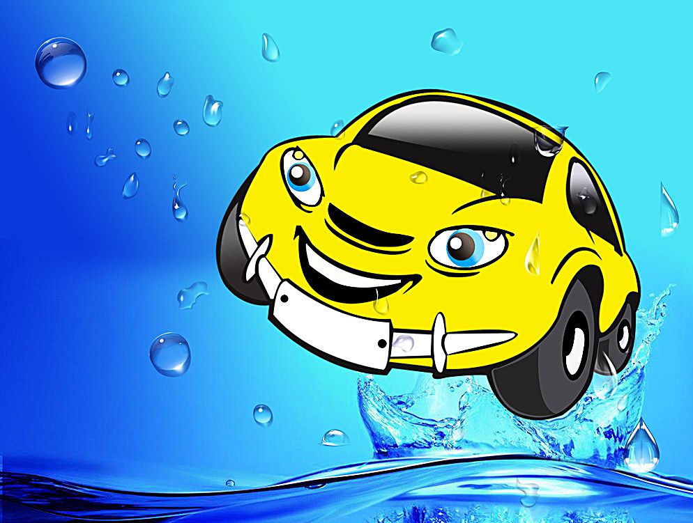 2019年洗车行业调查报告 中国汽车洗车行业市场调查深度分析报告