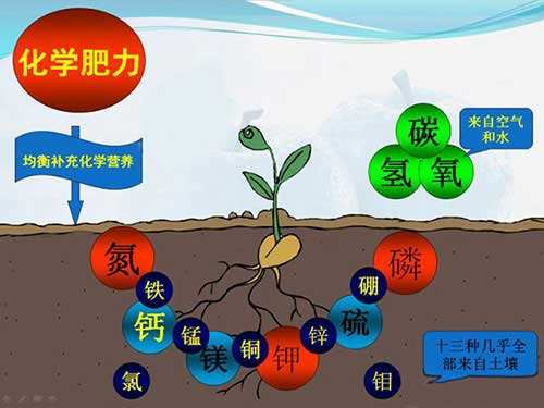 2019年中国中微量元素肥行业现状市场调研分析