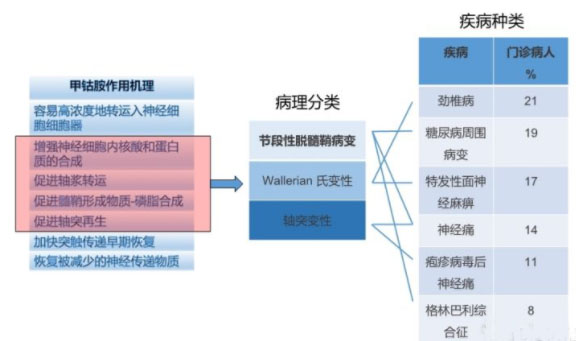 2019年中国甲钴胺注射液市场现状及前景发展战略趋势分析