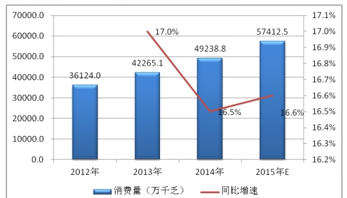 2019中国电力电容器市场消费研究调研分析报告