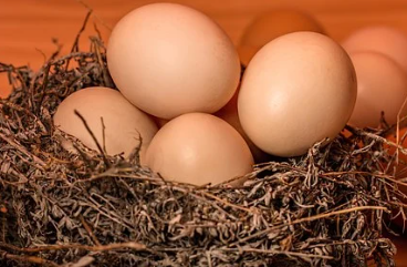 2020年5月13日京津冀今日鸡蛋价格市场行情分析