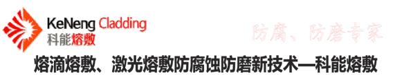 灵动核心第二届中国生物质发电产业创新发展高峰论坛