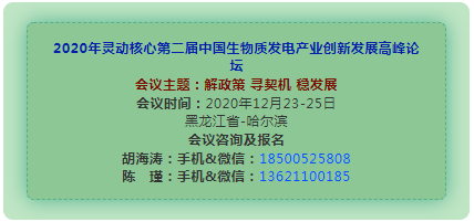 灵动核心第二届中国生物质发电产业创新发展高峰论坛