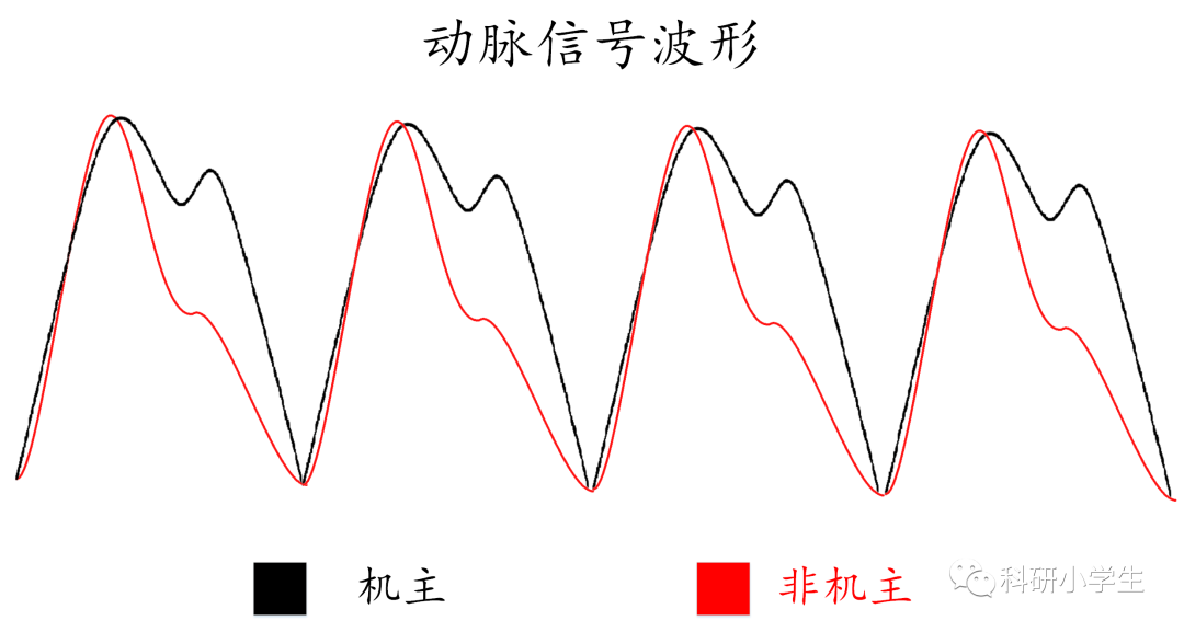 物联网时代的身份认证：腕表动脉认证