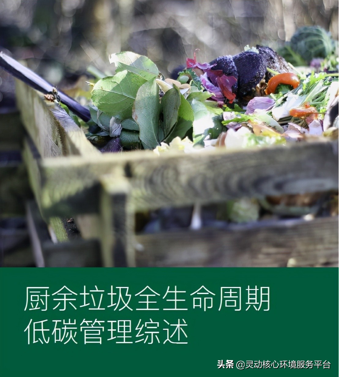 绿色和平：食物浪费与厨余垃圾的温室气体是城市碳达峰的阻力